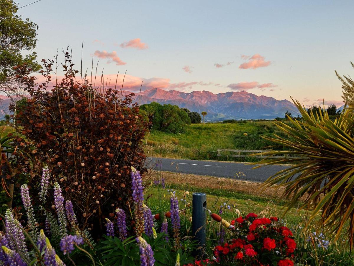 Villa Barnacle Bills à Kaikoura Extérieur photo